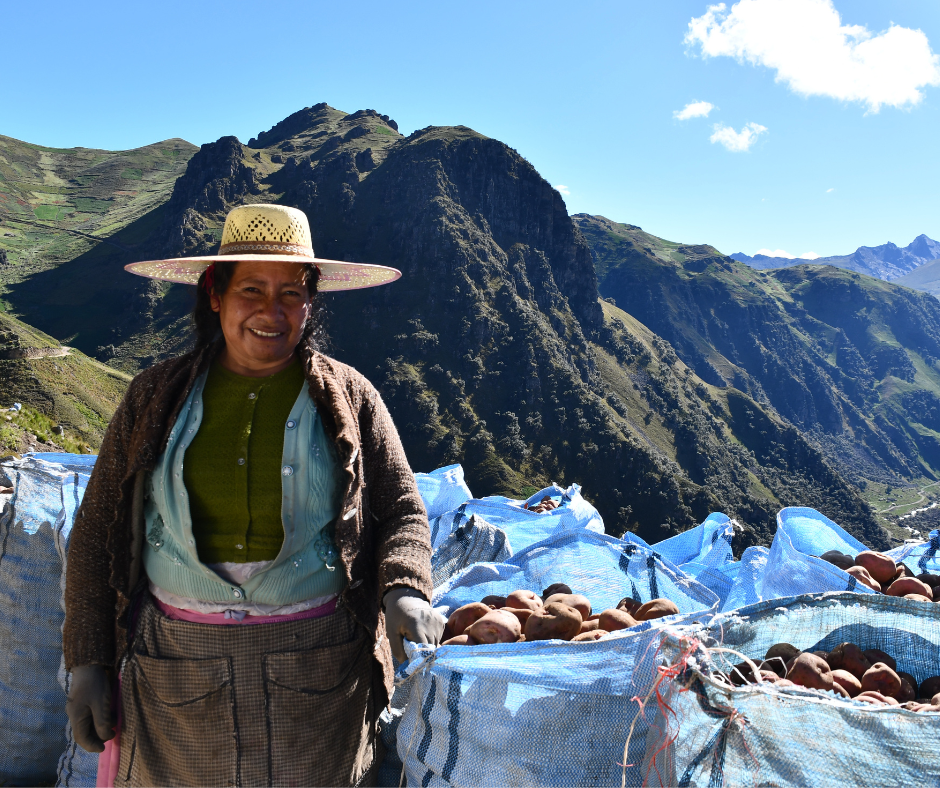 A local community member smiling by her plentiful crop of potatoes, with the Andes in the background.