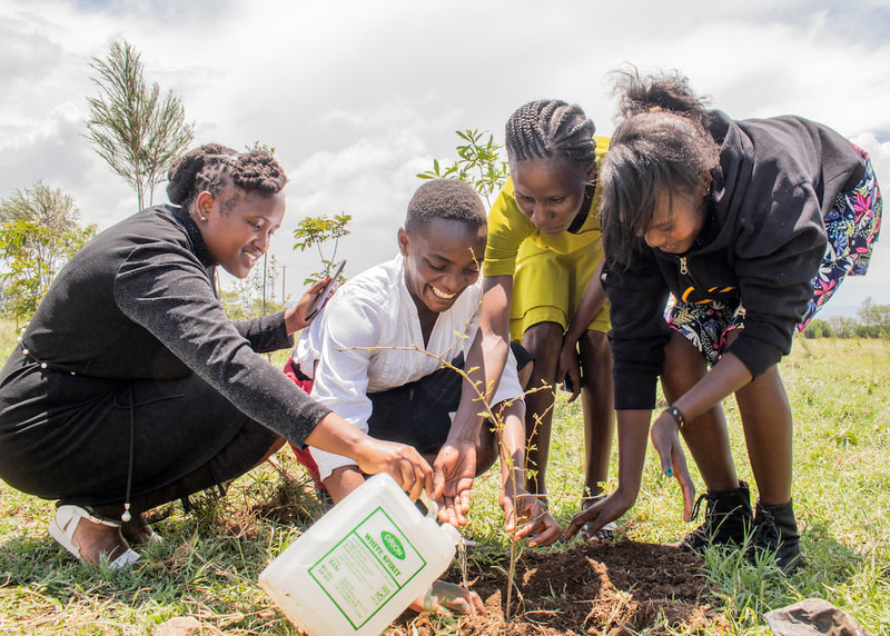 Picture of 4 young girls planting trees in Kenya
