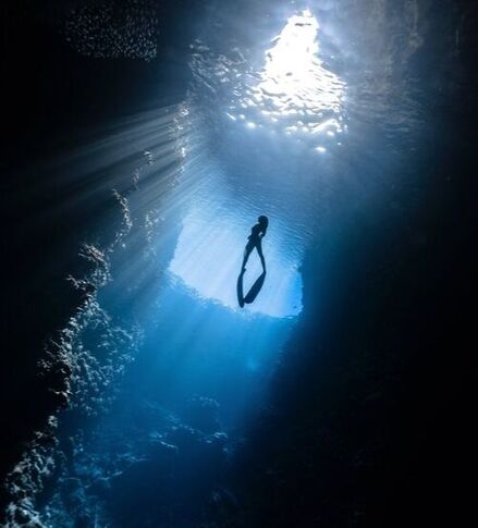 Picture of free diver under water