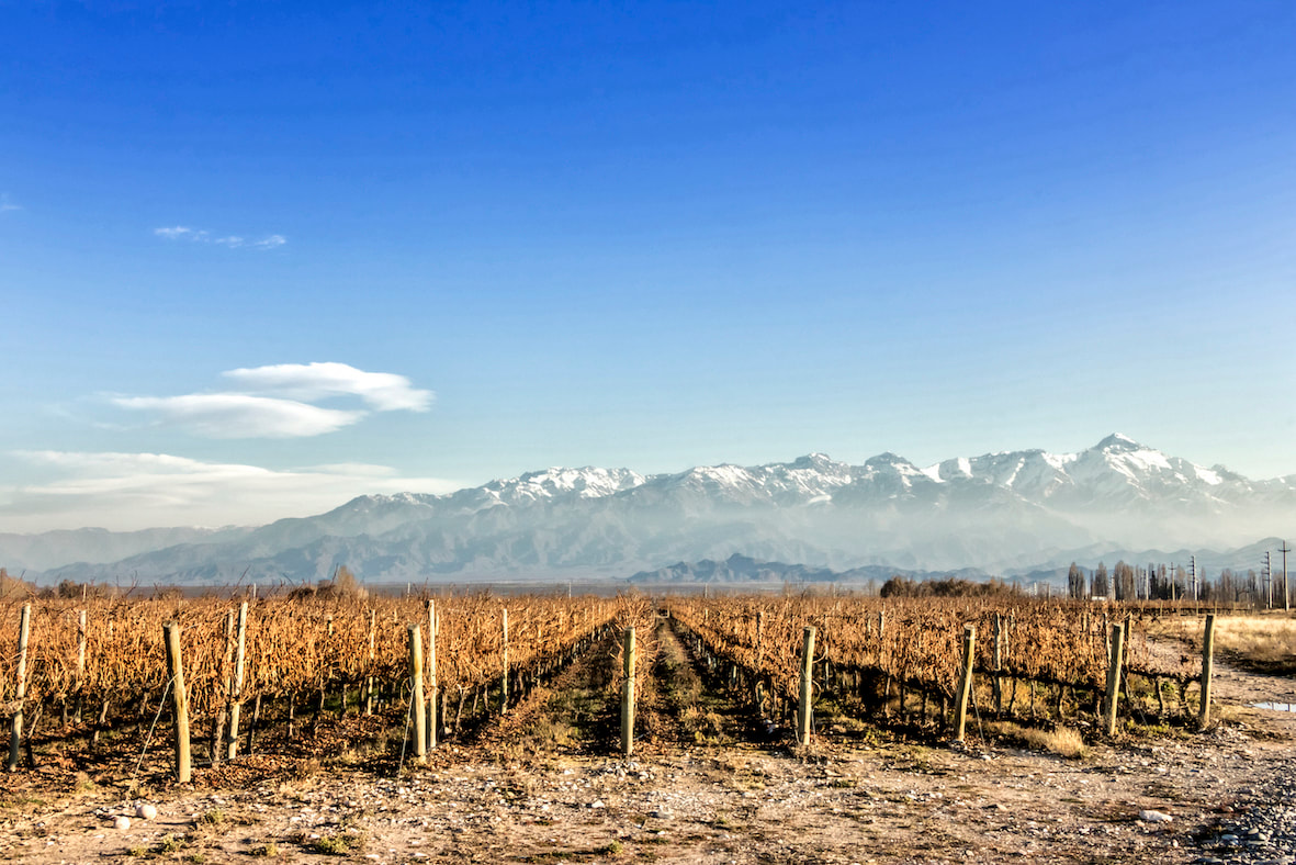 Picture of agricultural landscape in front of snow capped mountains