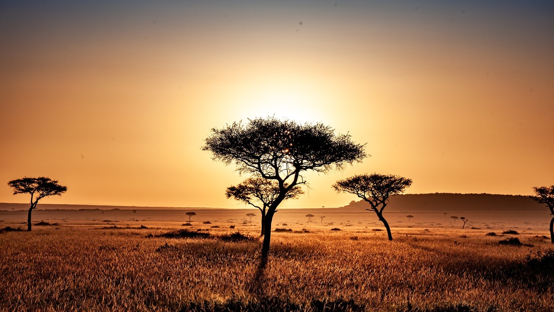 Picture of a dry African savannah