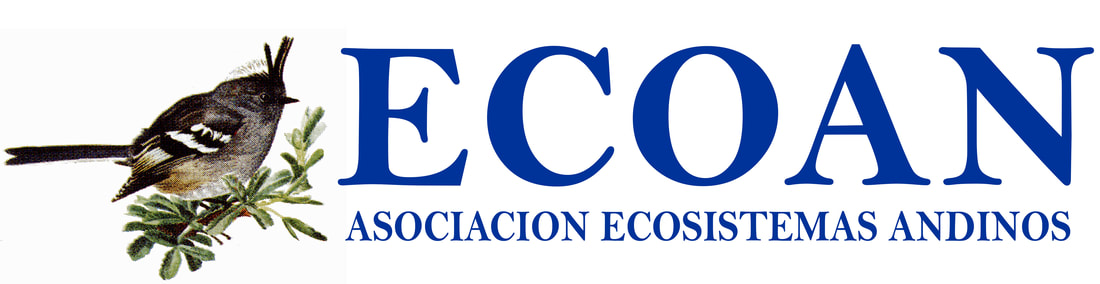 ECOAN Logo
