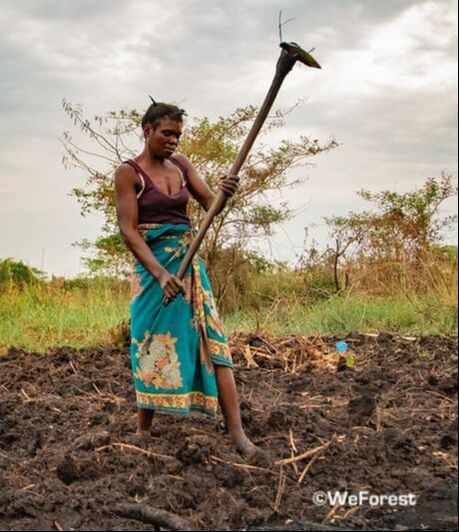 Picture of a woman digging in her field