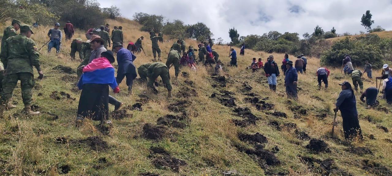 A community planing trees in the Andes in Ecuador.