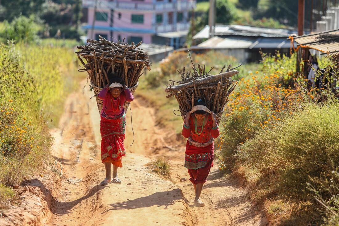Nepal women carrying wood